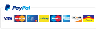 Logo PayPal arte